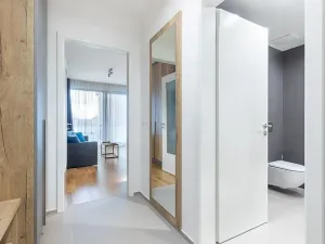 Pronájem bytu 1+kk, Praha - Žižkov, Seifertova, 31 m2
