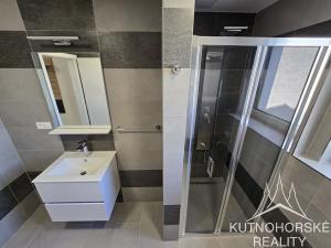 Pronájem bytu 1+kk, Kutná Hora, Za Lidkou, 45 m2