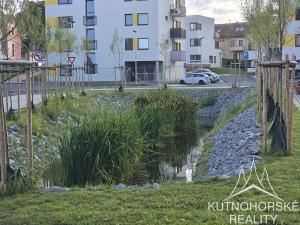 Pronájem bytu 1+kk, Kutná Hora, Za Lidkou, 45 m2