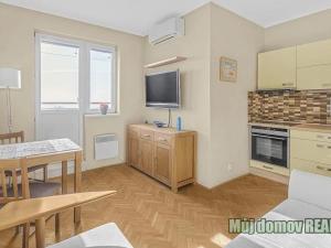 Pronájem bytu 1+kk, Praha - Vinohrady, Sobotecká, 24 m2
