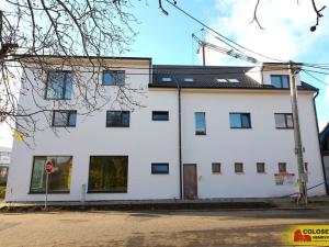 Prodej bytu 3+kk, Hrušovany nad Jevišovkou, 95 m2