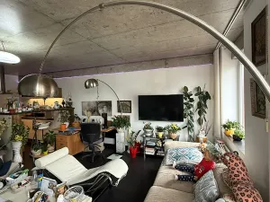 Prodej bytu 2+kk, České Budějovice, Rudolfovská tř., 97 m2
