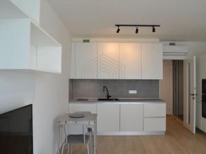 Pronájem bytu 1+kk, Praha - Žižkov, Malešická, 33 m2
