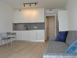 Pronájem bytu 1+kk, Praha - Žižkov, Malešická, 33 m2