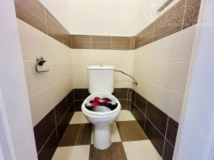 Pronájem bytu 2+kk, Praha - Břevnov, Patočkova, 42 m2