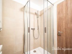 Pronájem bytu 2+kk, Praha - Karlín, Březinova, 51 m2