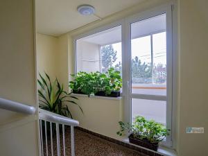 Pronájem bytu 3+1, Vyškov, Tyršova, 78 m2