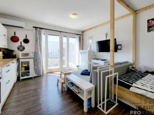 Prodej bytu 1+kk, Brno, Vomáčkova, 33 m2