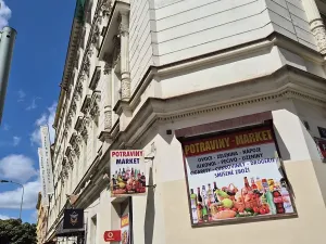 Prodej bytu 2+1, Praha - Vinohrady, Slezská, 61 m2