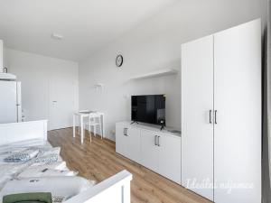 Pronájem bytu 1+kk, Praha - Kyje, Za černým mostem, 24 m2