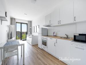 Pronájem bytu 1+kk, Praha - Kyje, Za černým mostem, 24 m2