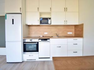 Pronájem bytu 1+kk, Brno - Staré Brno, Hybešova, 38 m2