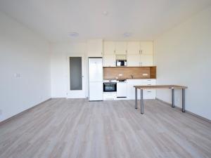Pronájem bytu 1+kk, Brno - Staré Brno, Hybešova, 38 m2
