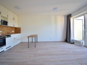 Pronájem bytu 1+kk, Brno - Staré Brno, Hybešova, 38 m2