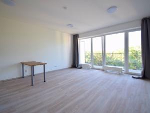 Pronájem bytu 1+kk, Brno - Staré Brno, Hybešova, 38 m2