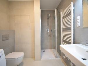Pronájem bytu 1+kk, Brno - Staré Brno, Hybešova, 38 m2