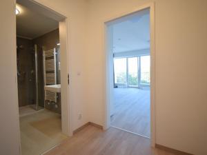 Pronájem bytu 1+kk, Brno - Staré Brno, Hybešova, 38 m2