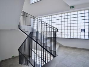 Pronájem bytu 1+kk, Brno - Staré Brno, Hybešova, 38 m2