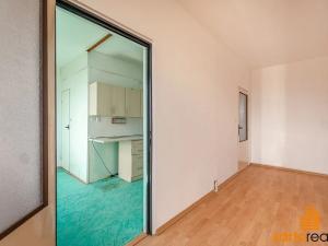Prodej bytu 2+1, Ústí nad Labem, Pod Parkem, 62 m2