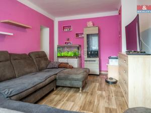 Prodej zemědělské usedlosti, Dobev - Malé Nepodřice, 444 m2
