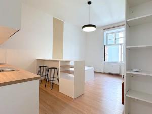 Pronájem bytu 1+kk, Brno, Poštovská, 39 m2