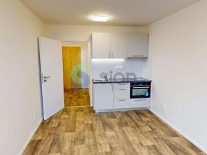 Pronájem komerční nemovitosti, Ostrava - Nová Ves, Paličkova, 20 m2