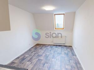 Pronájem komerční nemovitosti, Ostrava - Nová Ves, Paličkova, 20 m2