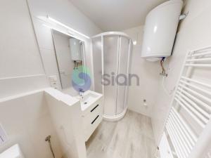 Pronájem komerční nemovitosti, Ostrava - Nová Ves, Paličkova, 20 m2