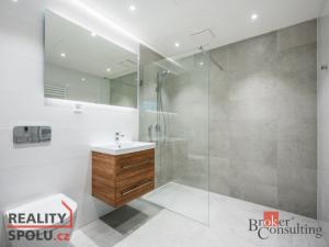 Pronájem bytu 1+kk, Brno - Zábrdovice, Cejl, 48 m2