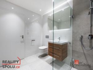 Pronájem bytu 1+kk, Brno - Zábrdovice, Cejl, 48 m2