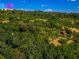 Prodej zahrady, Samotišky, 2632 m2