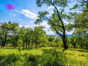 Prodej zahrady, Samotišky, 2632 m2