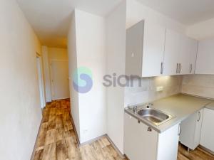 Pronájem bytu 1+1, Ostrava - Výškovice, Lumírova, 39 m2