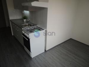 Pronájem bytu 1+1, Ostrava - Výškovice, Šeříková, 40 m2