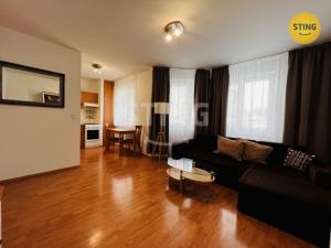 Pronájem bytu 1+kk, Ostrava, Horní, 38 m2