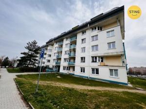 Pronájem bytu 1+kk, Ostrava, Horní, 38 m2