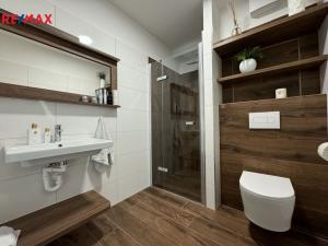 Pronájem bytu 1+kk, Olomouc, Camilla Sitteho, 27 m2