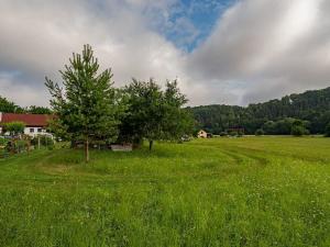 Prodej rodinného domu, Luže, 462 m2