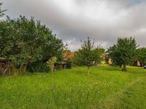 Prodej rodinného domu, Luže, 462 m2