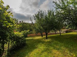 Prodej rodinného domu, Luže, 462 m2