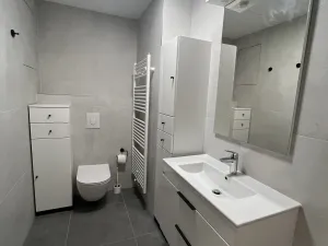 Pronájem bytu 2+kk, Olomouc, Dobrovského, 64 m2