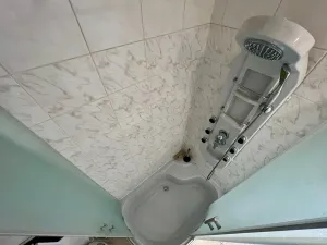Pronájem bytu 3+kk, Praha - Žižkov, Slavíkova, 68 m2