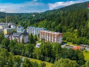 Prodej bytu 1+kk, Jiřetín pod Bukovou, 21 m2