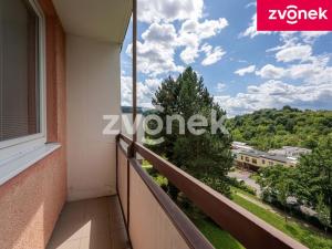 Prodej bytu 1+kk, Zlín, Družstevní, 35 m2