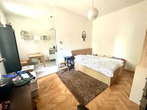 Pronájem bytu 1+1, Praha - Žižkov, Fibichova, 35 m2