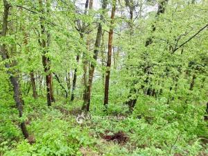 Prodej chaty, Jevišovice, 70 m2