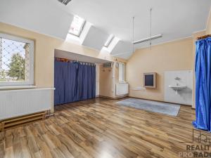 Prodej obchodního prostoru, Pardubice, U Josefa, 66 m2