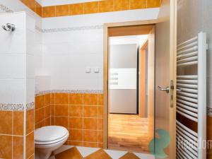 Pronájem bytu 2+kk, České Budějovice, Resslova, 54 m2