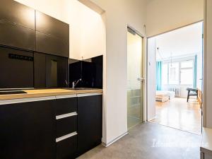Pronájem bytu 1+kk, Praha - Staré Město, Dlouhá, 30 m2