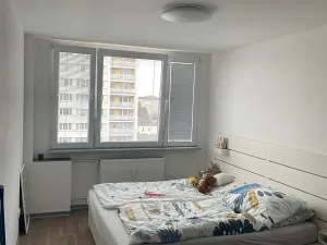 Pronájem bytu 2+kk, Hradec Králové, Uhelná, 53 m2
